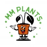 MM-Plants-02_1723455689